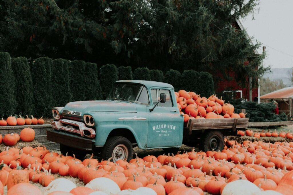 Fall in Michigan is unparalleled in its beauty and its fun offerings.