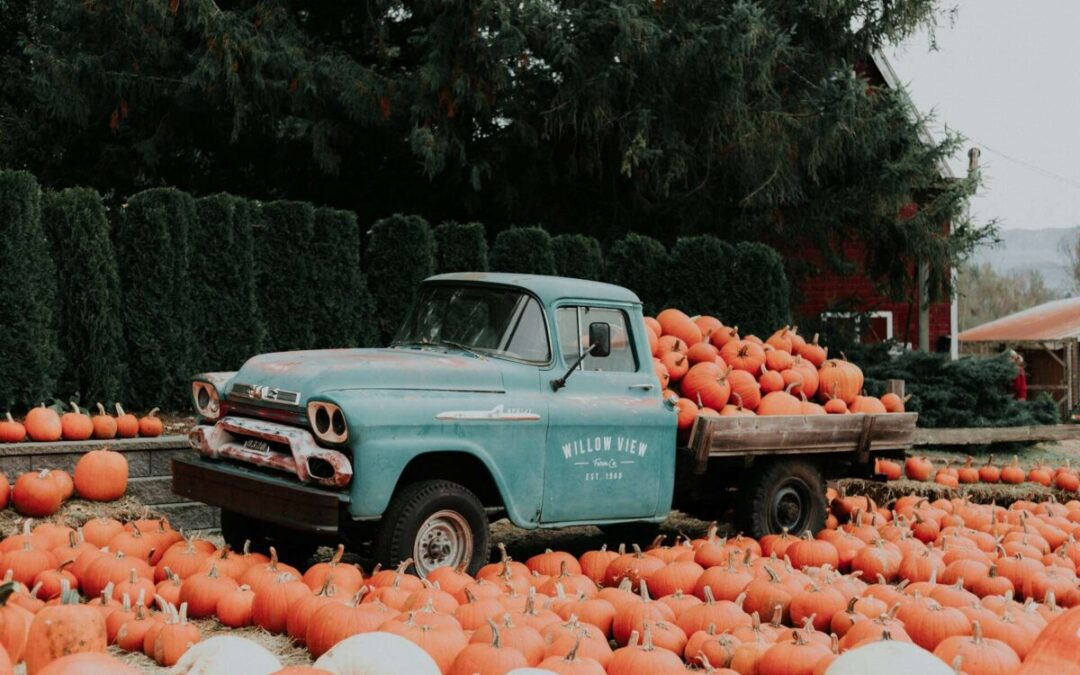 11 can’t-miss fall festivals in Michigan