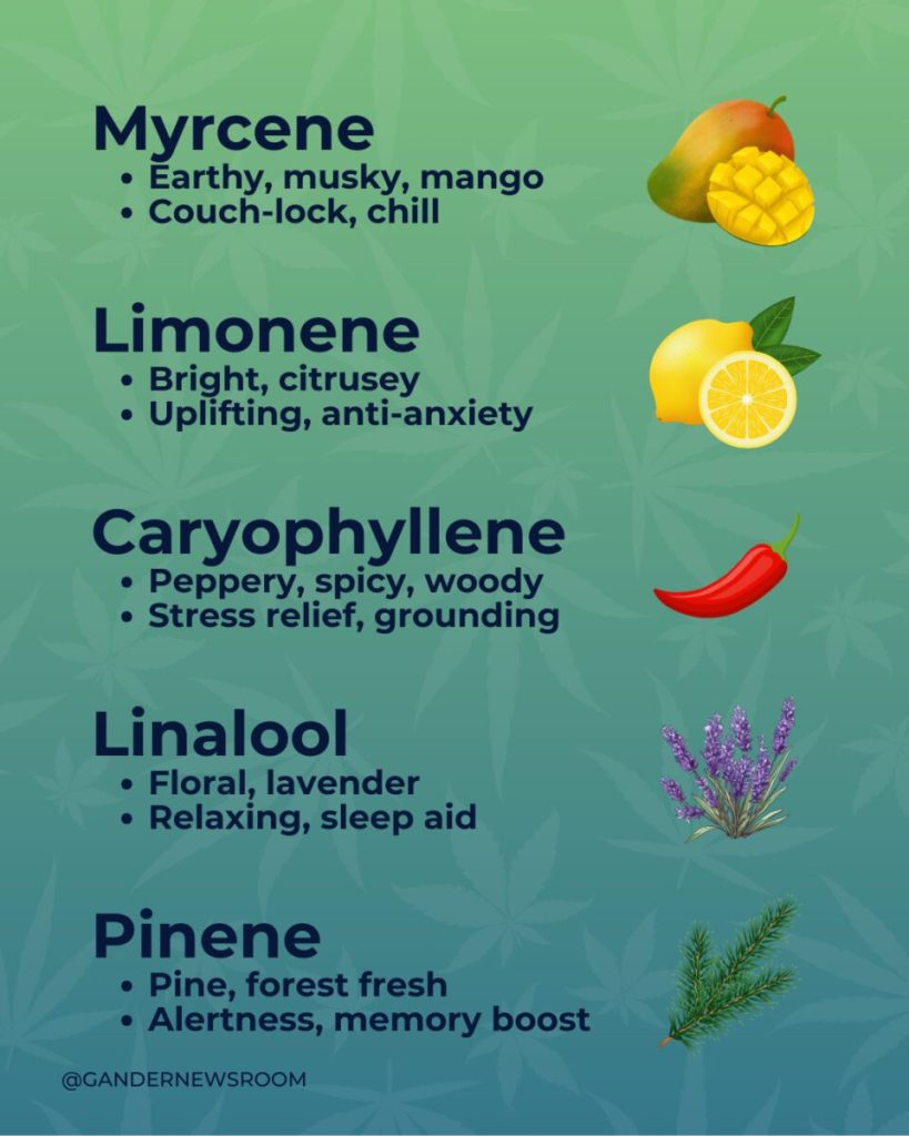terpene