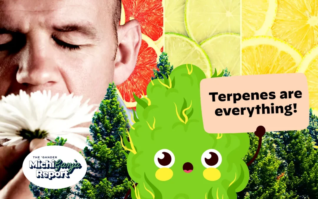 Why Michigan stoners should stop chasing THC percentages—and care more about terpenes