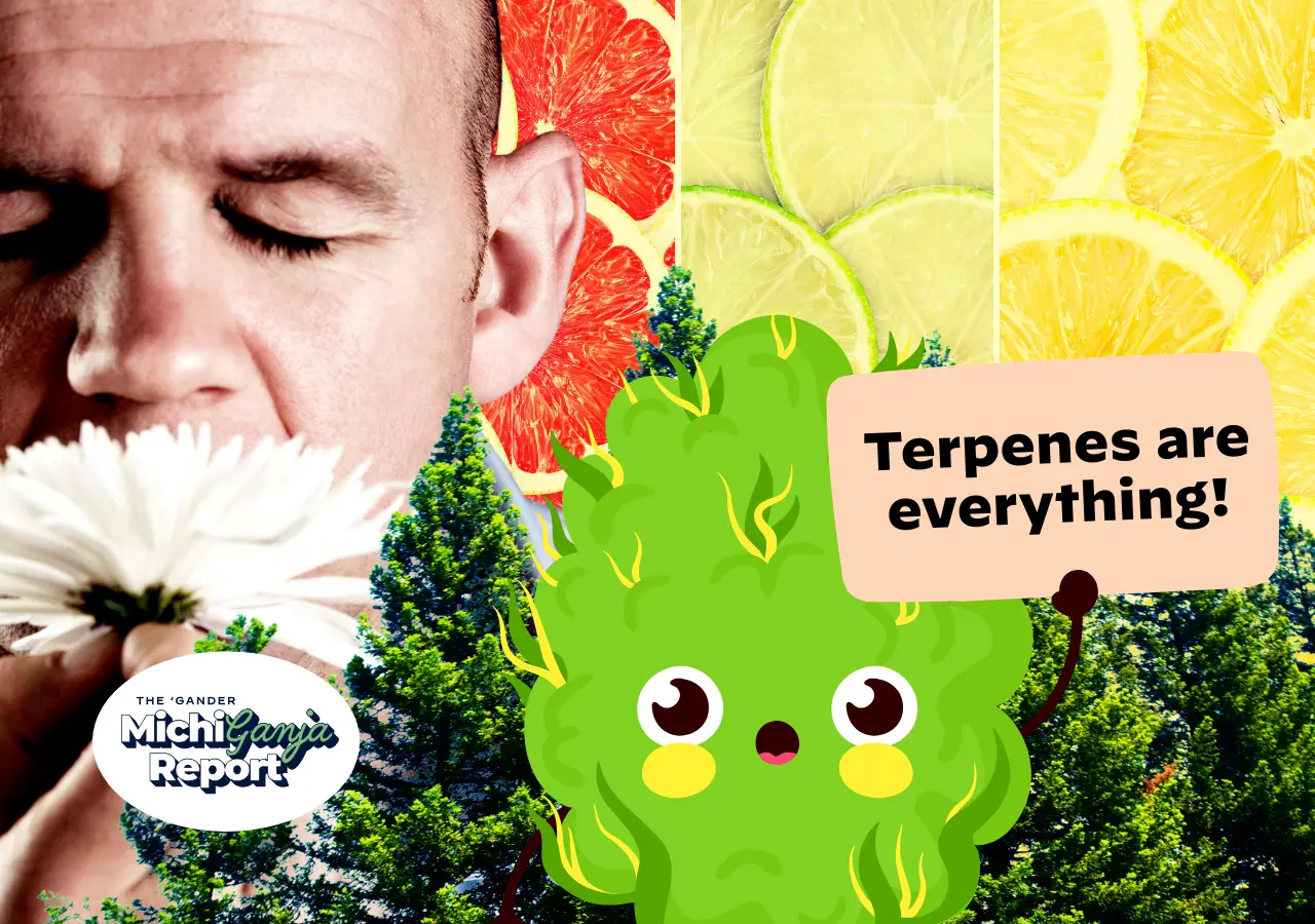 Why Michigan stoners should stop chasing THC percentages—and care more about terpenes