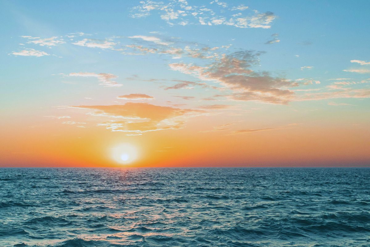 History - The Gander