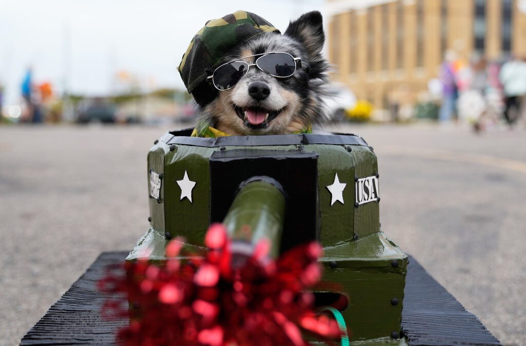 Dozens of costumed canines get their chance to trick-or-treating at Howloween event in Michigan