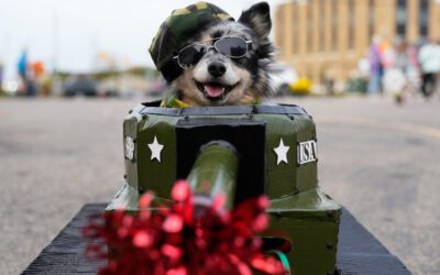 Dozens of costumed canines get their chance to trick-or-treating at Howloween event in Michigan