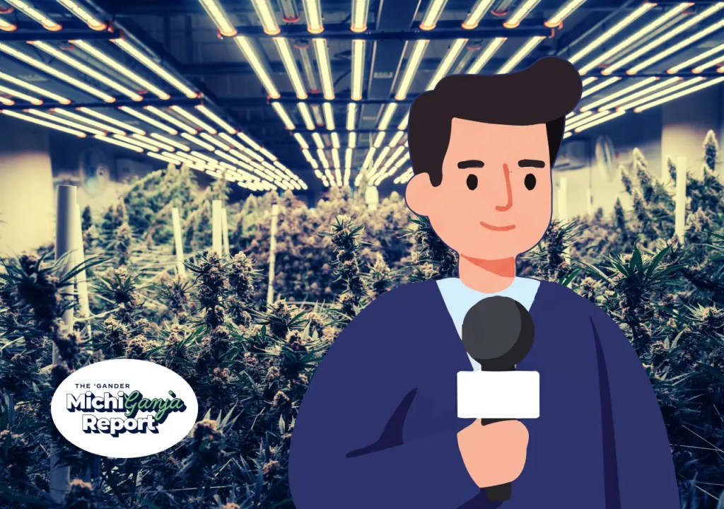 6 quick hits of cannabis news from across Michigan
