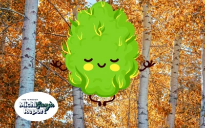 5 quick hits of cannabis news from across Michigan