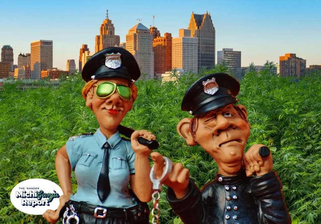 Michigan’s weed laws: 7 things every stoner should know