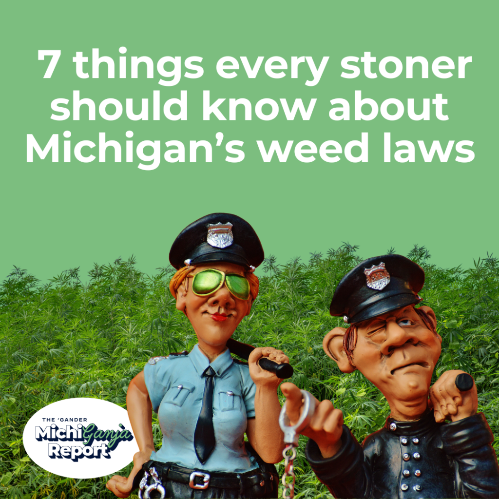 7 things every stoner should know about Michigan’s weed laws