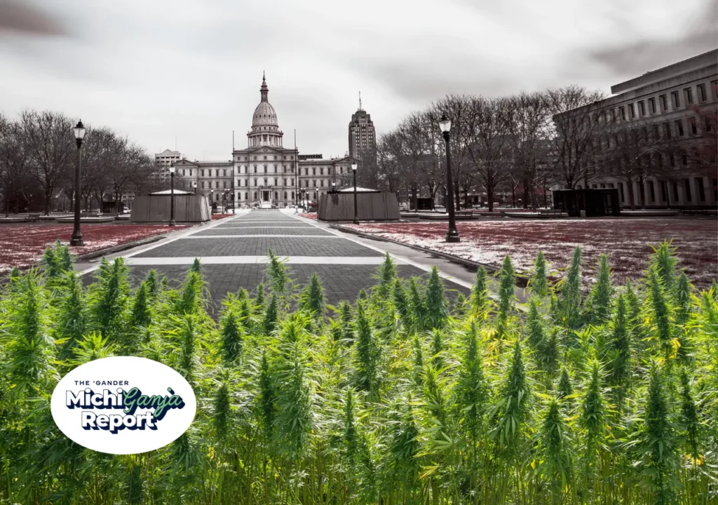 cannabis