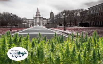 Why state lawmakers want to lock down Michigan’s cannabis market