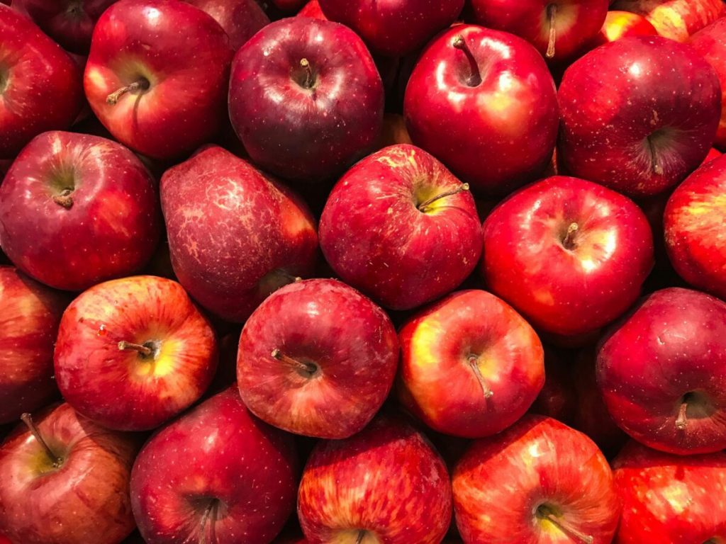 16 Michigan events to check out this weekend (Oct. 17-19)