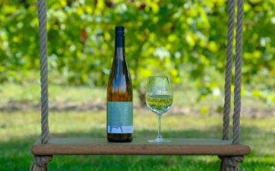 Michigan wine country: Your guide to the state’s 5 wine regions