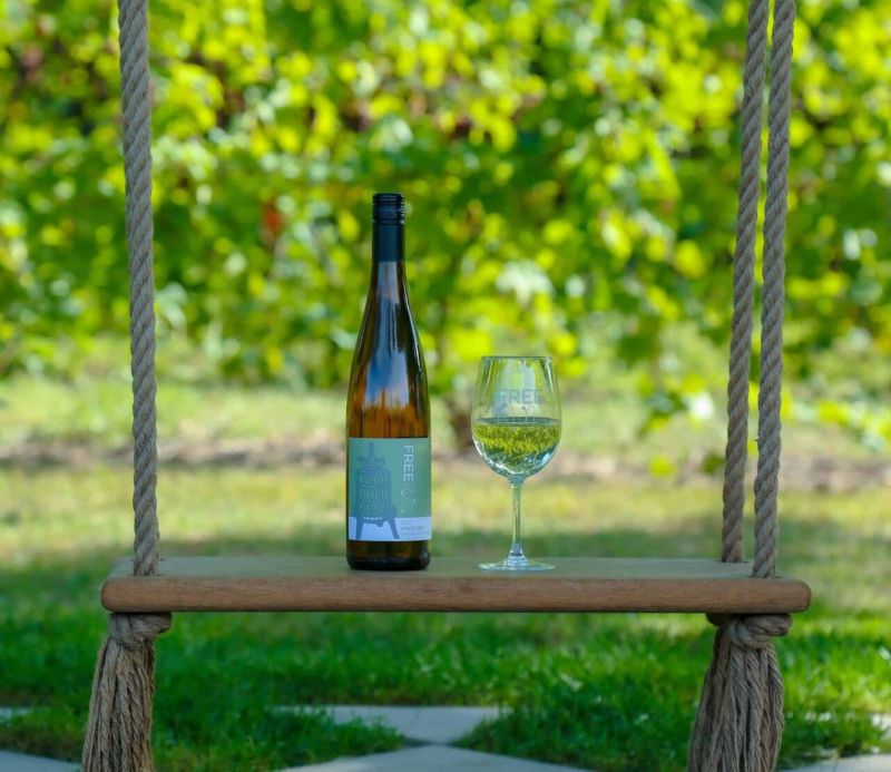 The state’s glacier history and impact from the Great Lakes contribute to ideal conditions for cultivating delicious Michigan wine.