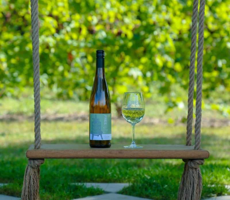 The state’s glacier history and impact from the Great Lakes contribute to ideal conditions for cultivating delicious Michigan wine.