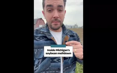WATCH: Inside Michigan’s soybean meltdown