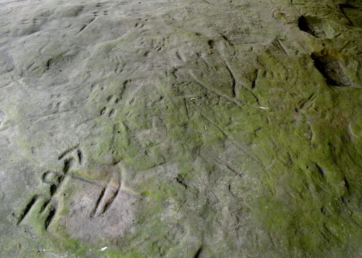 Celebrating Native American history. What to know in November