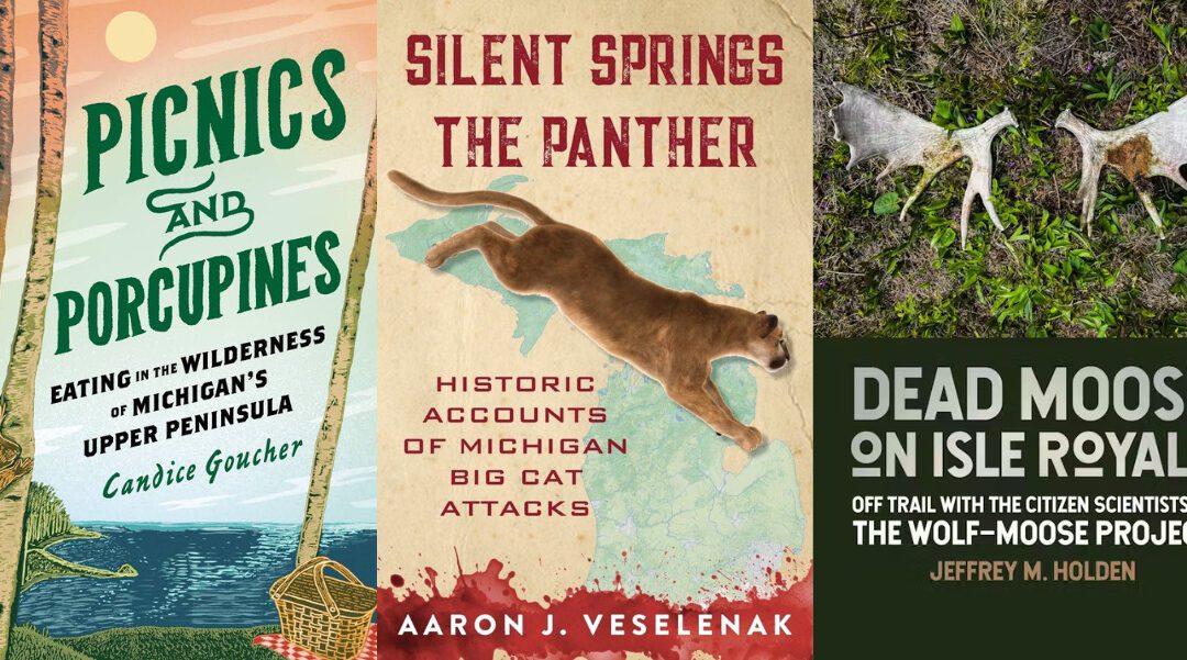 Great Lakes books for your holiday gift list