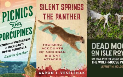 Great Lakes books for your holiday gift list
