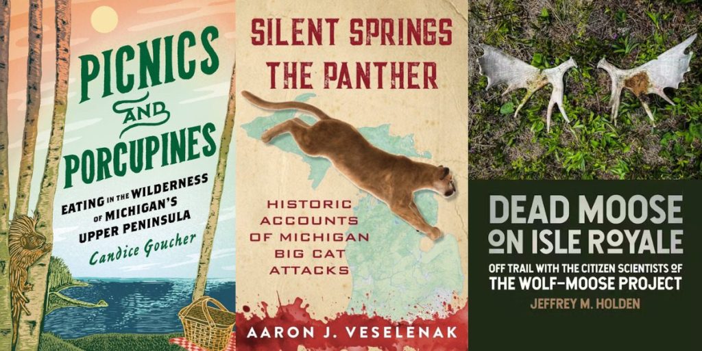 Great Lakes books for your holiday gift list
