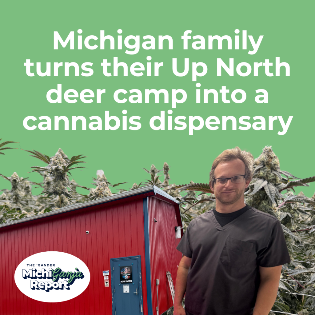 Michigan reporter eats 240 mg of THC for science