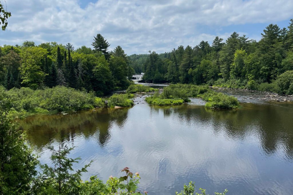 MICHIGAN ECONOMY - The Gander
