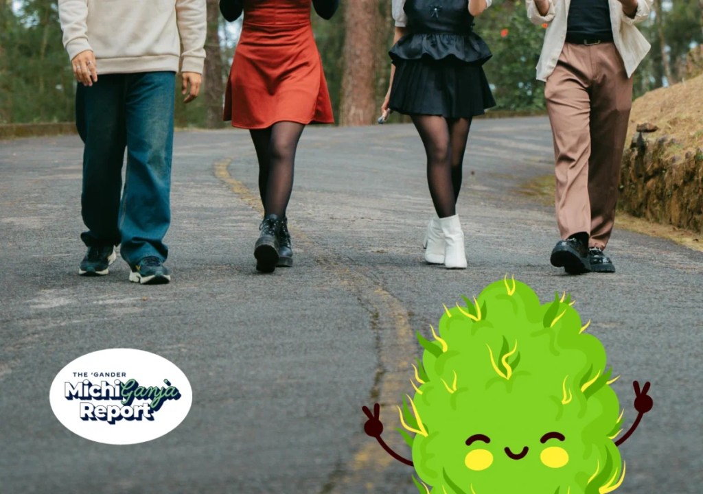 6 pre-roll packs every Michigander needs for their annual Thanksgiving ‘cousin walk’