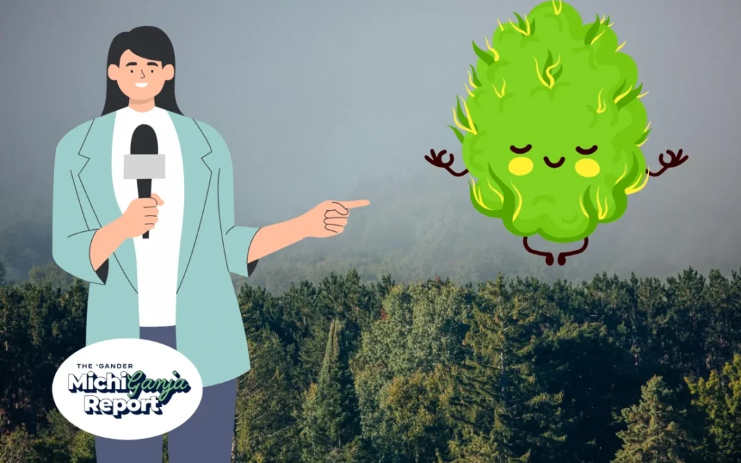 7 quick hits of cannabis news from across Michigan