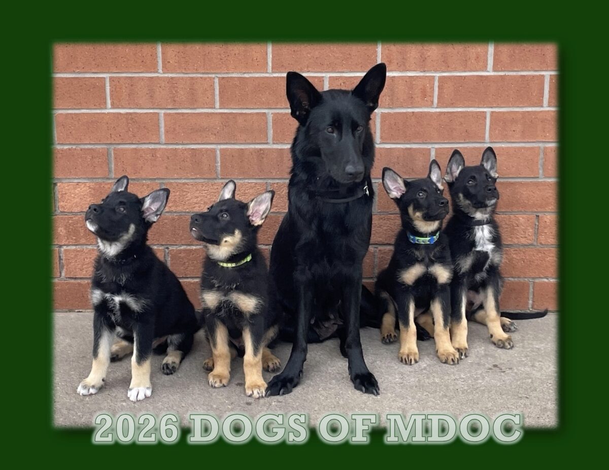 Lights, camera, bark! Dogs from Michigan prison training programs featured on 2026 calendar