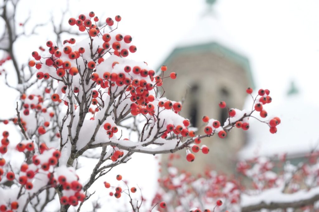 Snow, freezing rain for Michigan. Where to expect ice, bad roads
