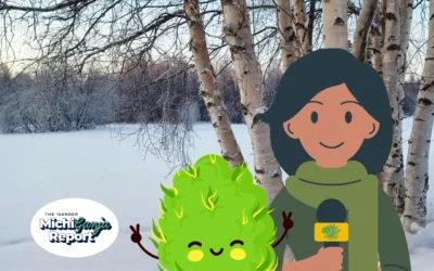 8 quick hits of cannabis news from across Michigan