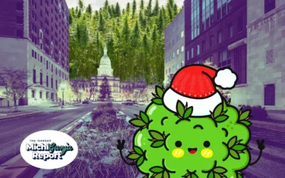 14 weed gifts Michigan stoners will actually love