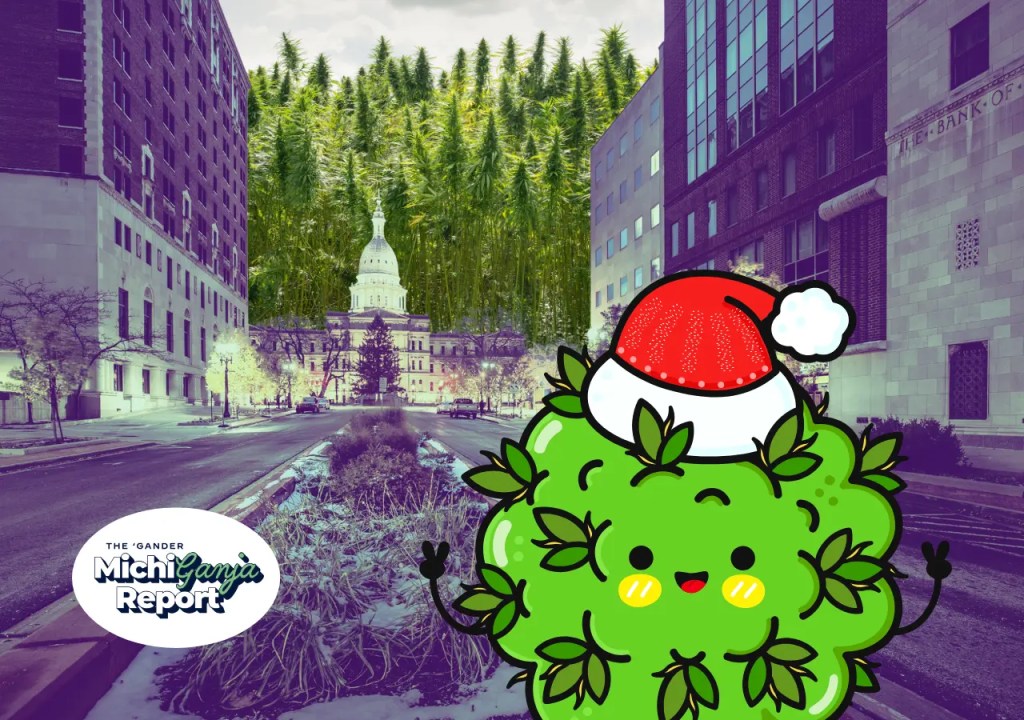 14 weed gifts Michigan stoners will actually love