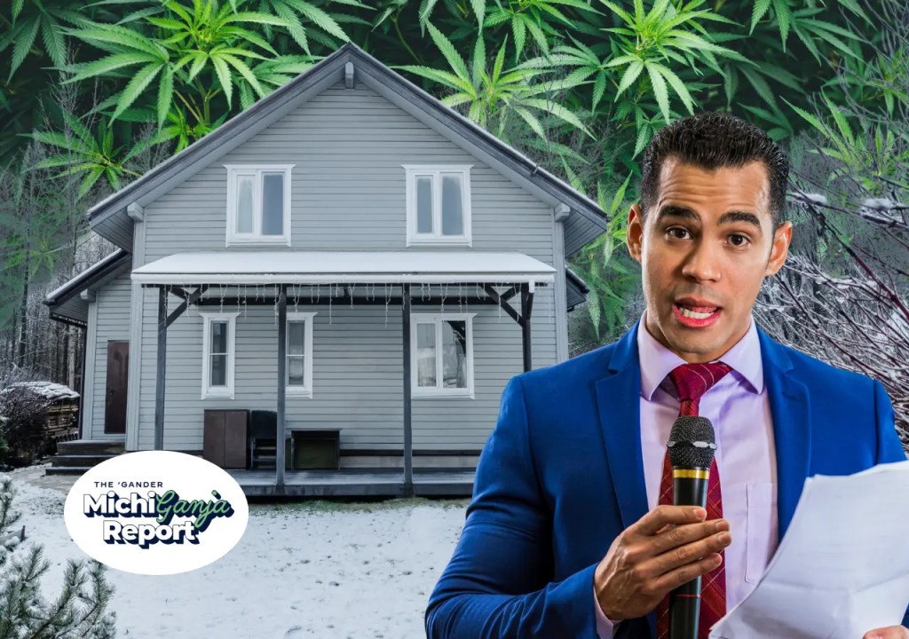 6 quick hits of cannabis news from across Michigan