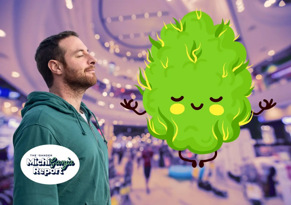 4 Michigan-grown cannabis strains that are getting me through the holidays