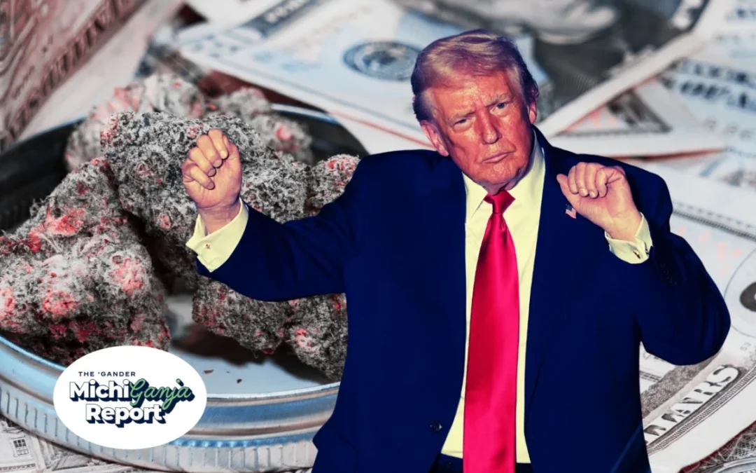 Trump wants to loosen federal weed laws. Here’s what that actually means for Michigan stoners