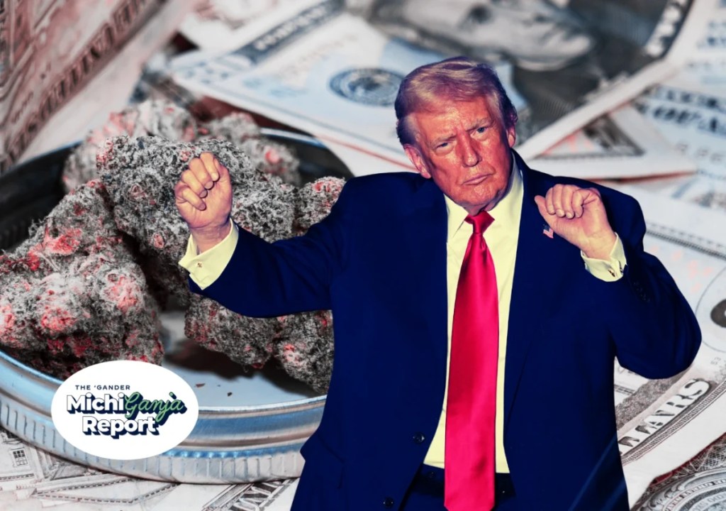 Trump wants to loosen federal weed laws. Here’s what that actually means for Michigan stoners