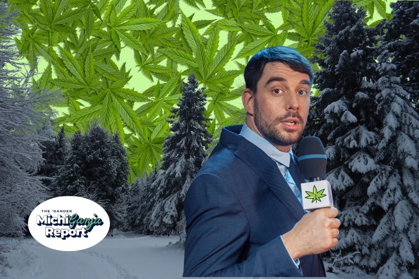 7 quick hits of cannabis news from across Michigan