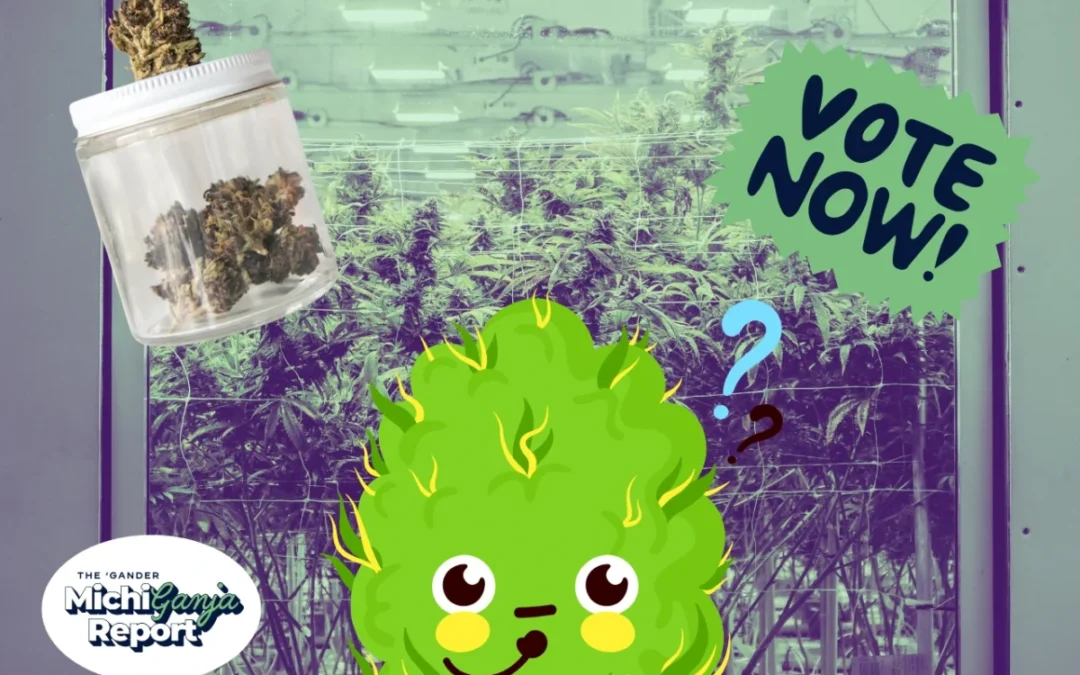 Hey stoners: What’s the best dispensary in Michigan?
