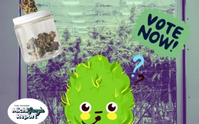 Hey stoners: What’s the best dispensary in Michigan?