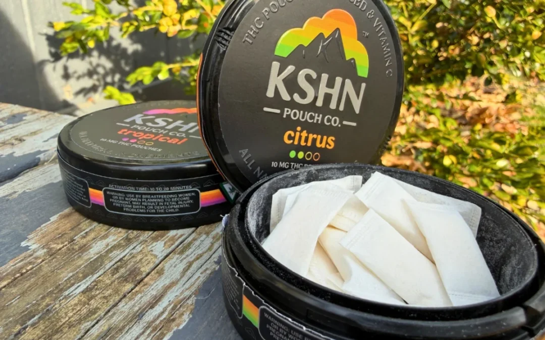 Michigan dispensaries are selling THC pouches that look a lot like Zyn