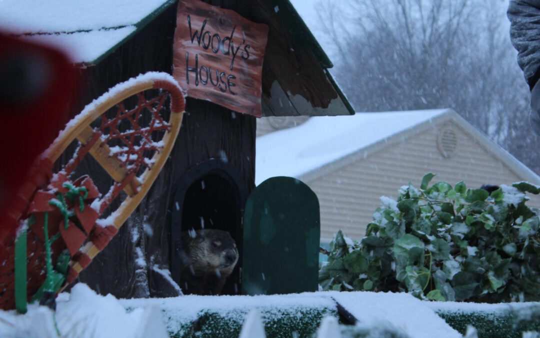Michigan’s official groundhog predicts six more weeks of winter