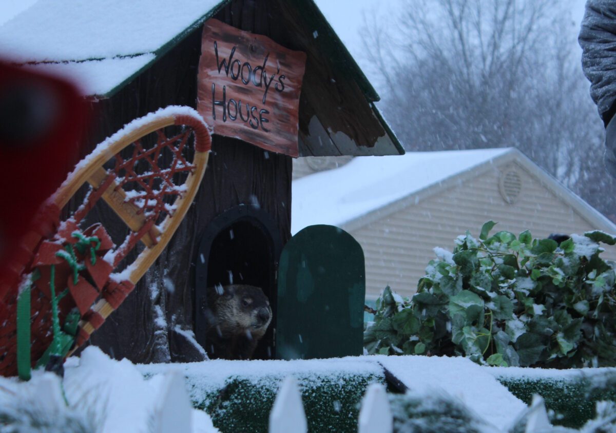 Michigan’s official groundhog predicts six more weeks of winter