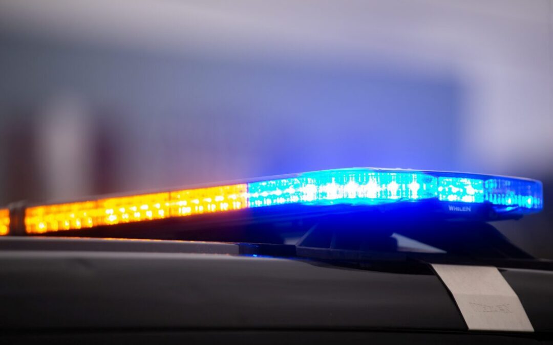 Woman drops off seemingly human skull to Chelsea Goodwill