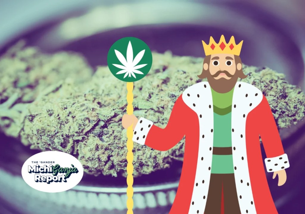 Stoners pick the 8 best dispensaries in Michigan
