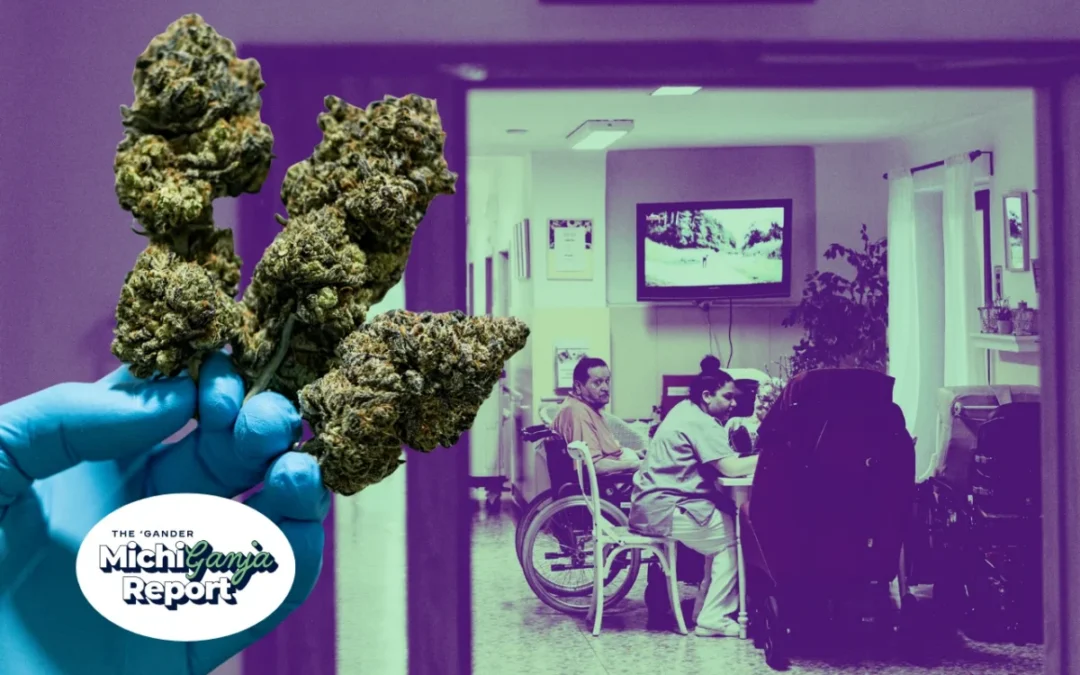 Cannabis can help Michigan patients but it’s not risk-free