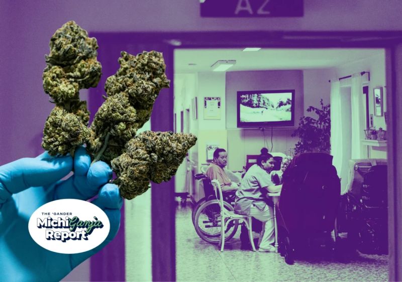 cannabis