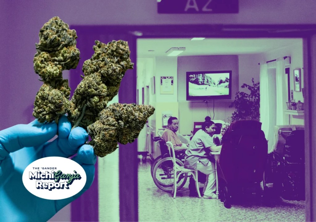Cannabis can help Michigan patients but it’s not risk-free