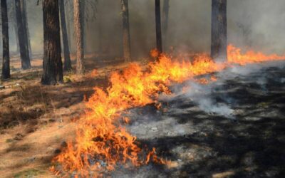 That one time in Michigan: When a fire burned the Thumb off the map