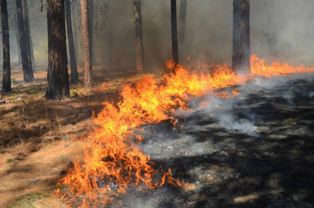 That one time in Michigan: When a fire burned the Thumb off the map