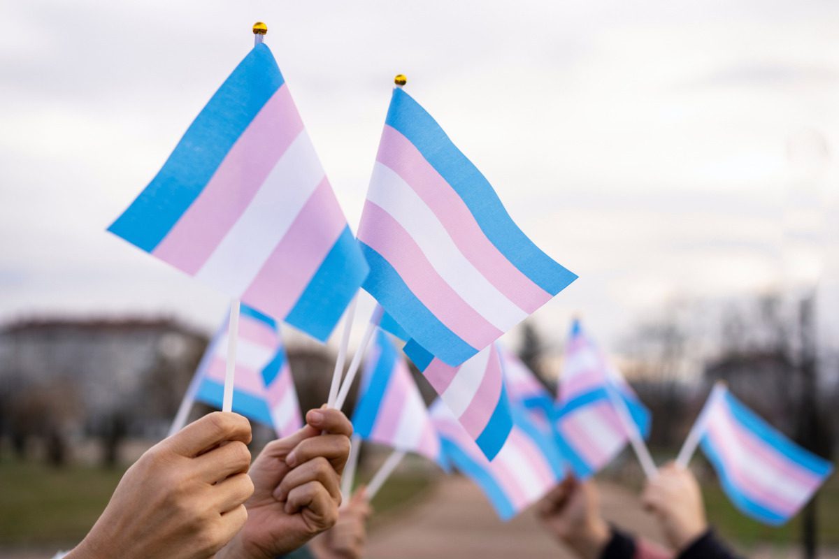 Transgender Day of Visibility. Group of People Holding Transgender Flags Outdoors